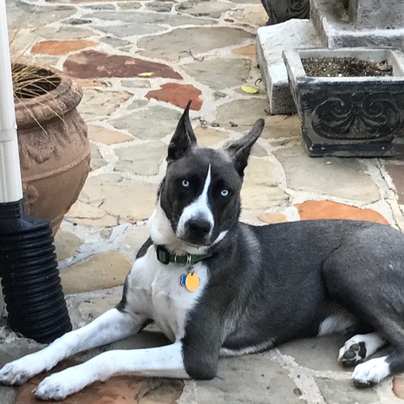 Meet your Posher, Kathy - Picture 1 of 1